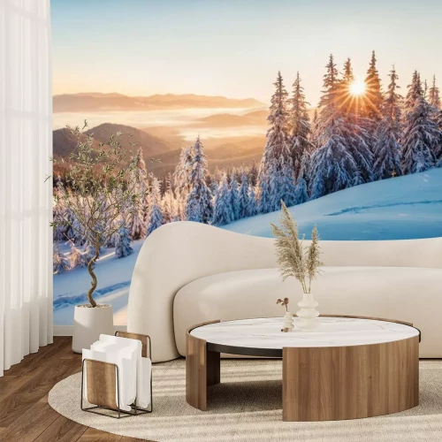 Fototapete Impressive winter morning in Carpathian mountains with snow covered fir trees. Colorful outdoor scene, Happy New Year celebration concept. Artistic style post processed photo.