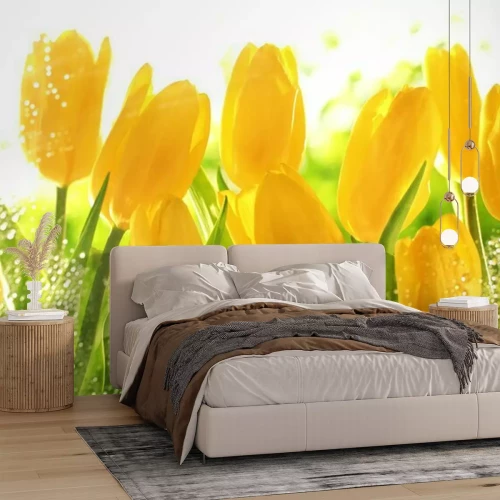 Fototapete Blumen gelb