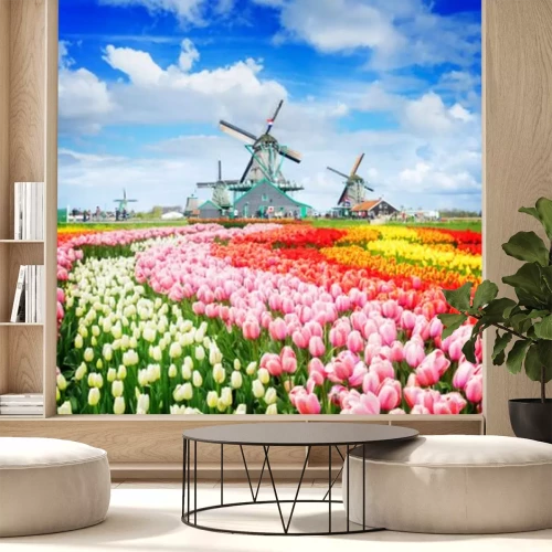 Fototapete Holländische Windmühlen und Tulpen in der Zaanse Schans
