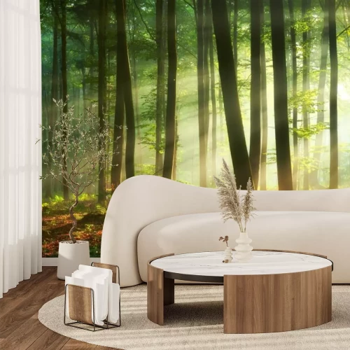 Fototapete Morgen im nebligen Wald natürliche Landschaft