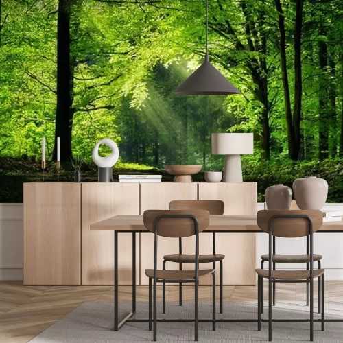 Fototapete Ein Weg zwischen grünen Bäumen