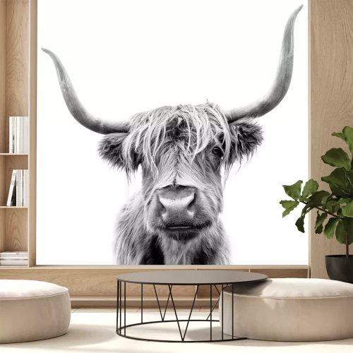 Sticker Schwarz-Weiß-Bild einer langhaarigen schottischen Kuh