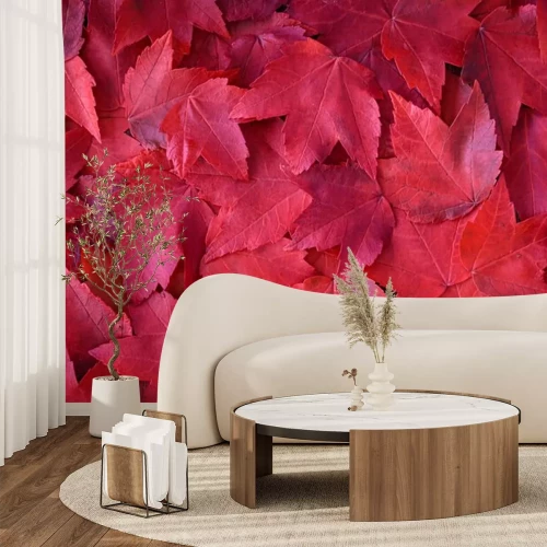 Sticker Rote Herbstblätter