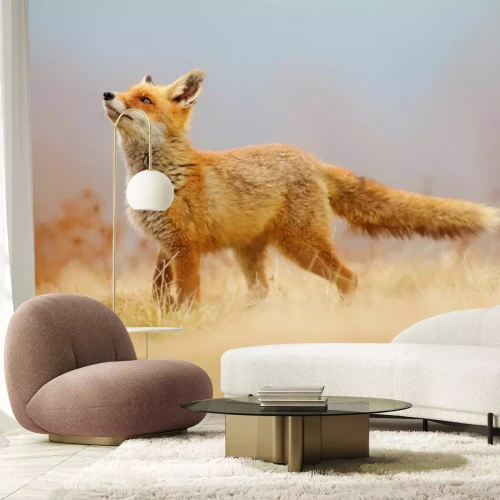 Fototapete Roter Fuchs auf der Lichtung