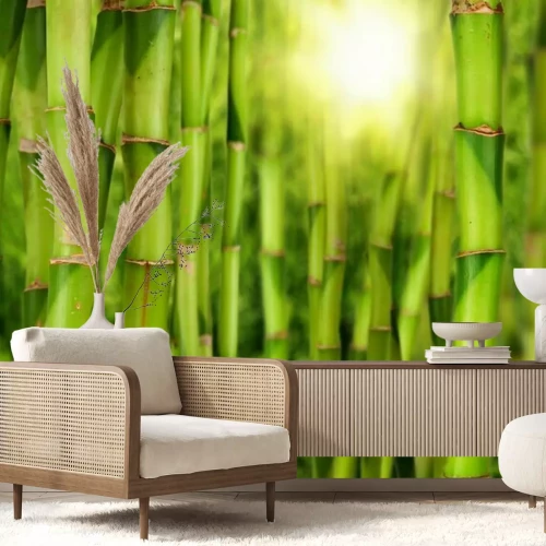 Fototapete Bambusstengel und Sonne