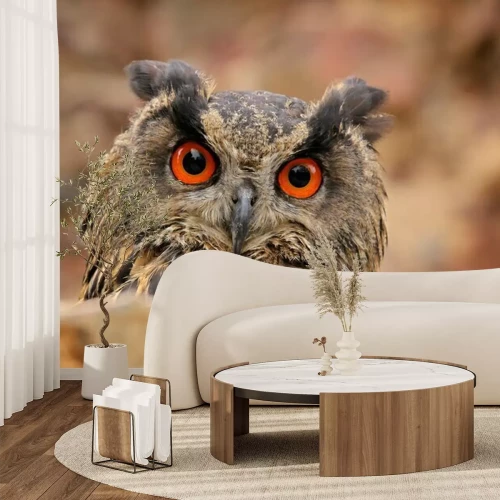 Fototapete Eule vor dem Hintergrund der Herbstlandschaft