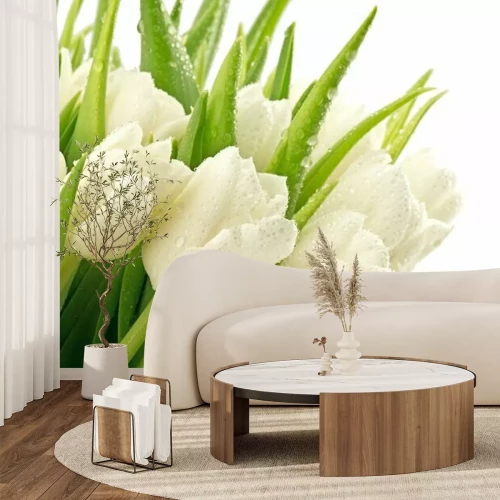 Fototapete Frühlingstulpenstrauß