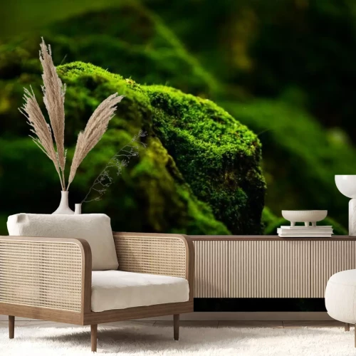 Fototapete Mit Moos bewachsene Steine