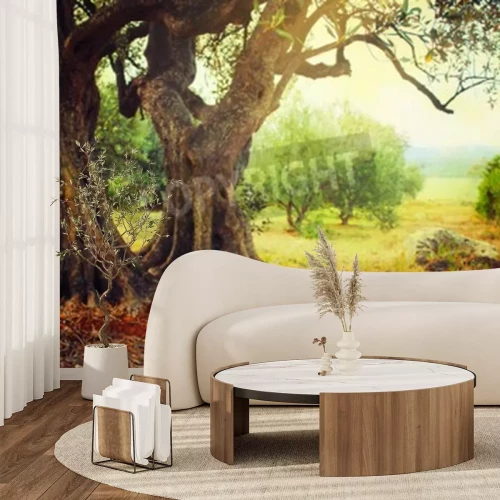 Fototapete Alte Bäume auf der Lichtung