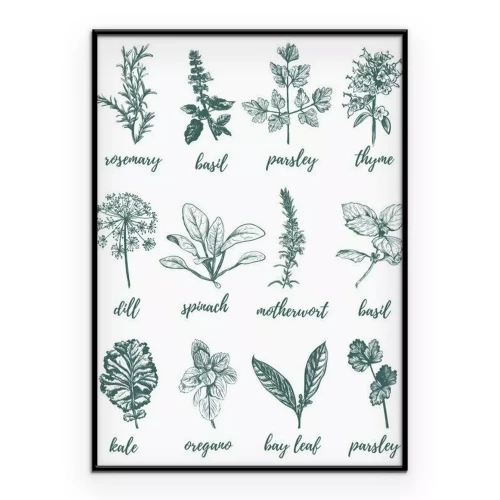 Poster Zeichnung der signierten Kräuter
