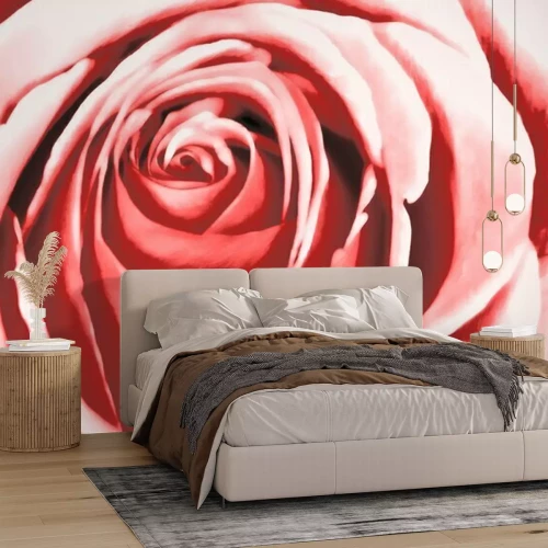 Sticker Abstract pink rose watercolour painting