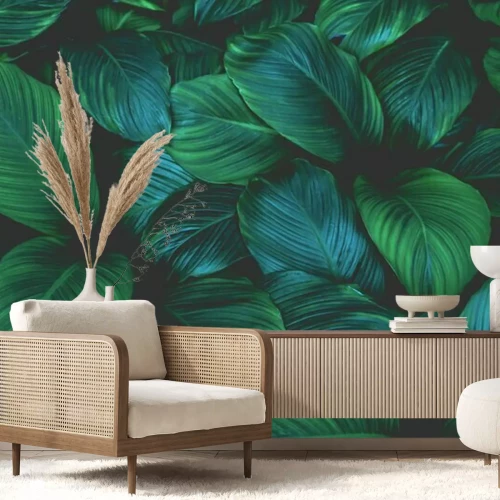 Fototapete Dunkle exotische Blätter