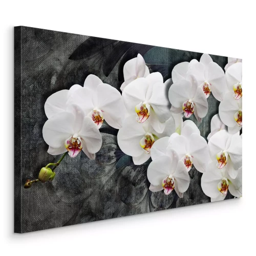 Bild 3D weiße Orchideenblüten auf dunklem Hintergrund