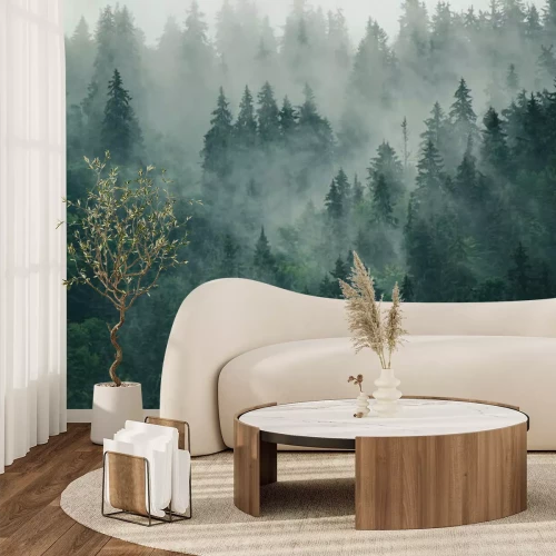 Fototapete Wald in der abenddämmerung 3d