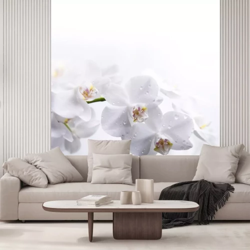 Sticker Weiße Blumen im Tau