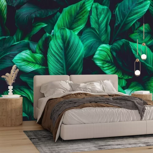 Fototapete Wand aus grünen tropischen Blättern