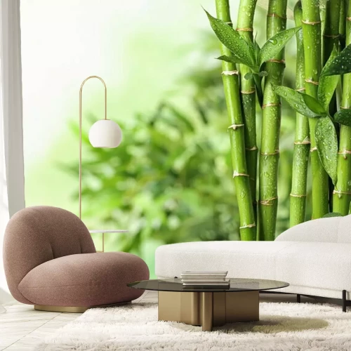 Fototapete Grüner Bambus mit Wassertropfen vor Blätterhintergrund