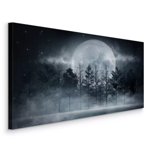 Bild Dark forest. Gloomy dark scene with trees, big moon, moonlight. Smoke, shadow. Abstract dark, cold street background. Night view.