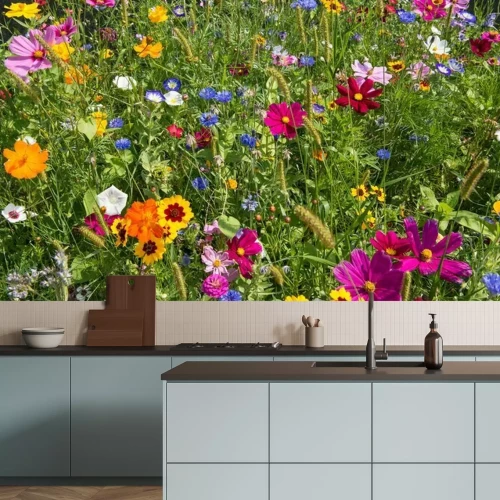 Fototapete Wiese mit Blumen im Sommer