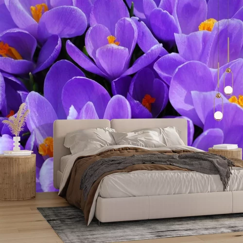 Sticker Lila Blumen in Nahaufnahme