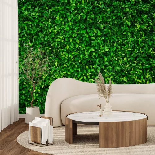 Fototapete Winzige grüne Kleinpflanzen