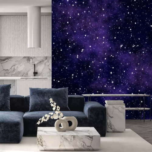 Fototapete Violett-schwarzes Raummuster