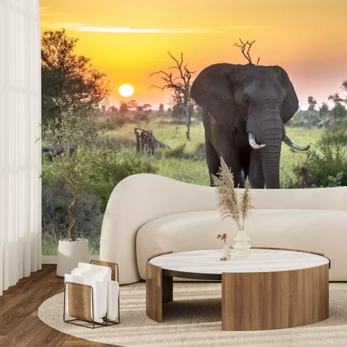 Fototapete Elefant vor einem orangefarbenen Himmel