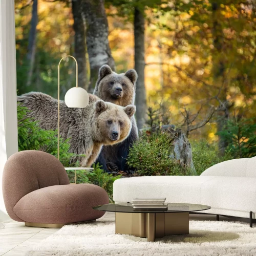 Fototapete Braunbären im herbstlichen Wald