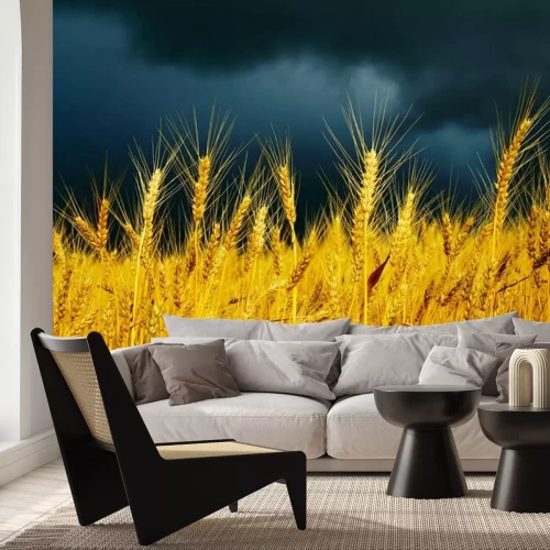 Fototapete Natur und goldenes Feld