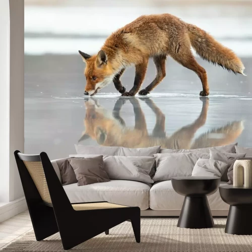 Fototapete Spiegelbild eines Fuchses in einem zugefrorenen See