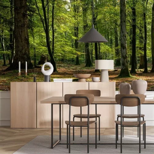 Fototapete Herbstanfang im Wald