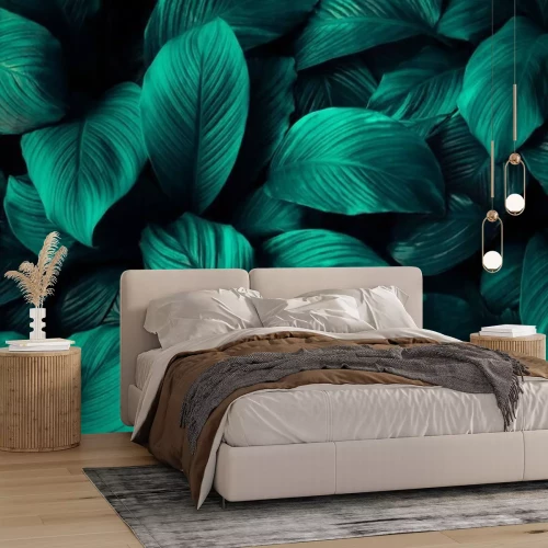 Fototapete Spathiphyllum cannifolium