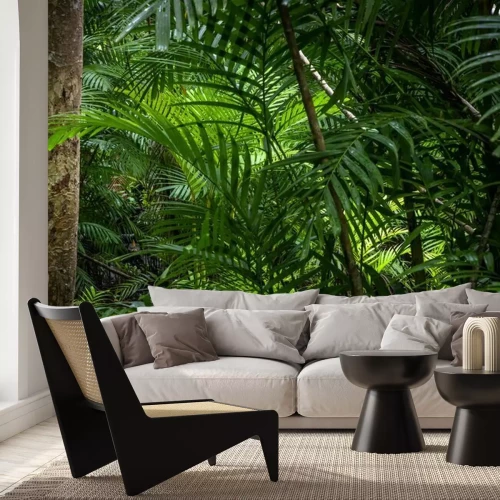 Fototapete Tropical jungle, Tropical rainforest with different trees.