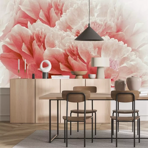 Fototapete Zusammensetzung von roten Pfingstrosen