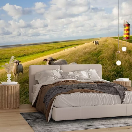 Fototapete Schafe auf der Wiese