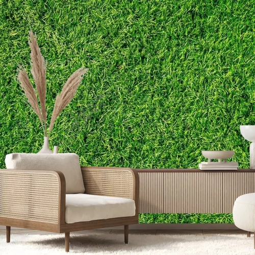 Fototapete Gras in der Sonne