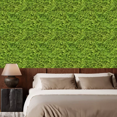 Tapete Hellgrünes Moos