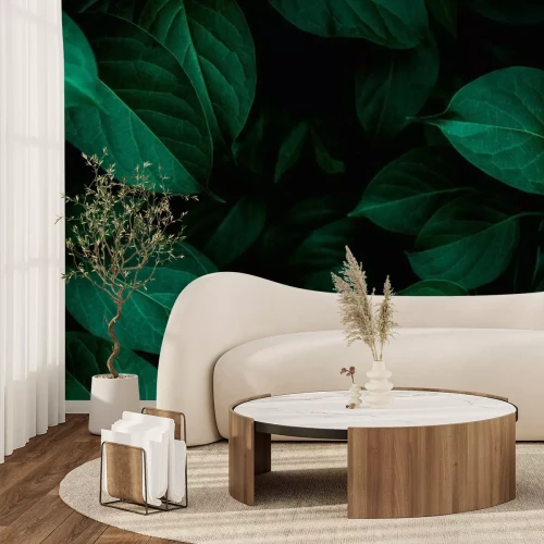 Fototapete Blätter auf schwarzem Hintergrund