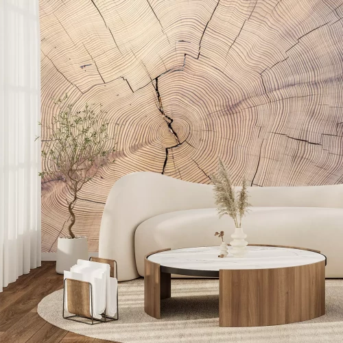 Fototapete Alte Holzstumpfstruktur