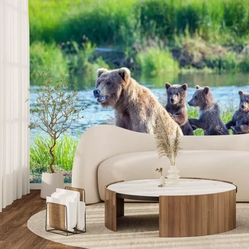 Fototapete Bärenfamilie am Fluss