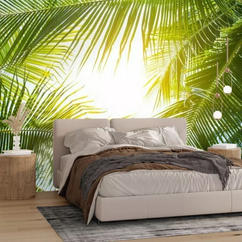 Fototapete Grüne Palmen in der Sonne