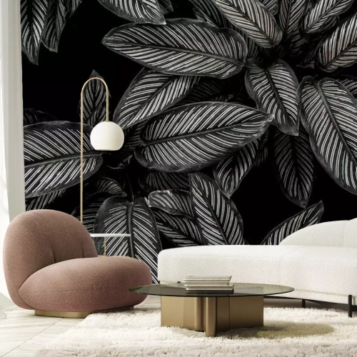 Fototapete Schwarz-weiße Blätter einer Wildpflanze