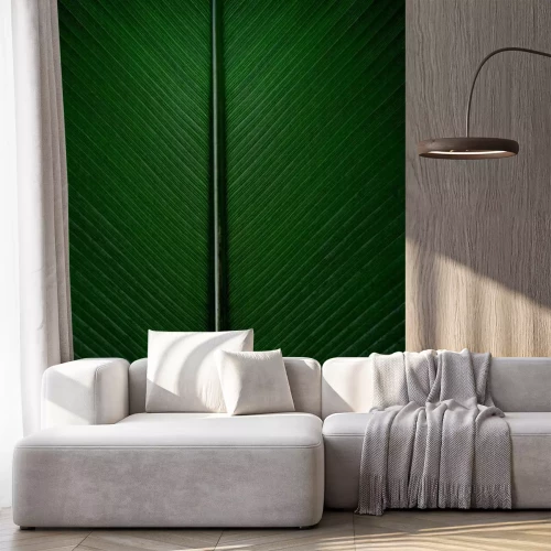 Sticker Bananenblatt aus nächster Nähe