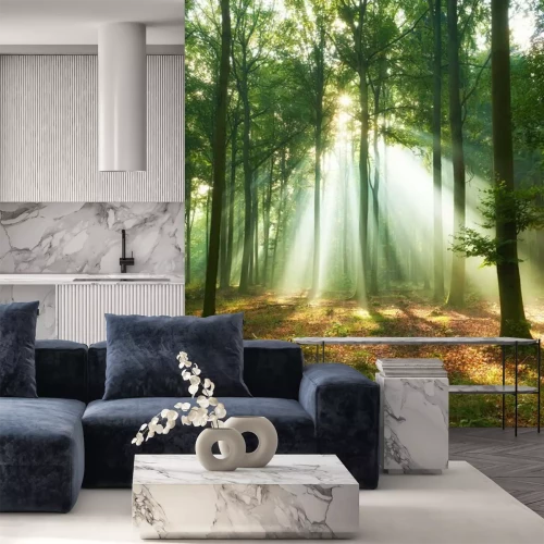 Fototapete Frühling im Wald