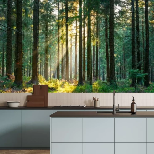 Fototapete Frühlingswald mit Sonnenstrahlen