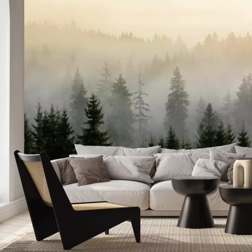 Fototapete Nebeliger Morgen über einem Kiefernwald