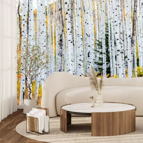 Fototapete Foliage in autumn fall on Castle Creek scenic road with colorful yellow leaves on american aspen trees trunks forest in foreground in Colorado rocky mountains