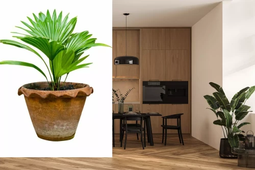 Visualisierung des Produkts