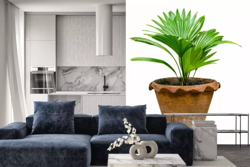 Visualisierung des Produkts