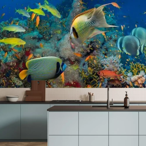 Fototapete Fische und Korallenriff